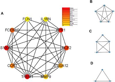 Key Genes Associated With Non-Alcoholic Fatty Liver Disease and Polycystic Ovary Syndrome